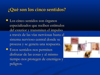 ¿Qué son los cinco sentidos?




Los cinco sentidos son órganos
especializados que reciben estímulos
del exterior y transmiten el impulso
a través de las vías nerviosas hasta el
sistema nervioso central donde se
procesa y se genera una respuesta.
Estos sentidos nos permiten
disfrutar de las cosas y al mismo
tiempo nos protegen de enemigos y
peligros.

 