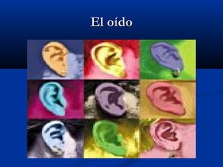 El oído

 