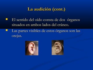 La audición (cont.)




El sentido del oído consta de dos órganos
situados en ambos lados del cráneo.
Las partes visibles de estos órganos son las
orejas.

 