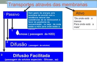 Transportes através das membranas
• Ativo• Passivo
Difusão ( passagem de solutos)
smose ( passagem da H2O)
Difusão Facilitada
(passagem de solutos especiais : Glicose , aa)
1
2
3
1
2
Sem gasto de energia pois
acontece de acordo com a
tendência natural das
substâncias de se deslocarem a
favor do gradiente de
concentração , ou seja , de onde
estão a mais para onde estão a
menos ”
“De onde está a
menos
Para onde está a
mais”
20/11/15 12
 