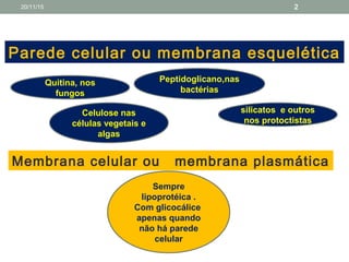 Parede celular ou membrana esquelética
Membrana celular ou membrana plasmática
Quitina, nos
fungos
Celulose nas
células vegetais e
algas
Peptidoglicano,nas
bactérias
silicatos e outros
nos protoctistas
Sempre
lipoprotéica .
Com glicocálice
apenas quando
não há parede
celular
20/11/15 2
 