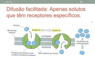 Difusão facilitada: Apenas solutos
que têm receptores específicos.
20/11/15 30
 