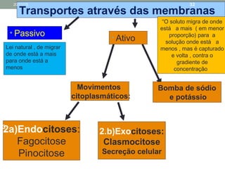 Transportes através das membranas
• Ativo
• Passivo
Bomba de sódio
e potássio
Movimentos
citoplasmáticos:
2a)Endocitoses:
Fagocitose
Pinocitose
2.b)Exocitoses:
Clasmocitose
Secreção celular
1
2
3
1
“O soluto migra de onde
está a mais ( em menor
proporção) para a
solução onde está a
menos , mas é capturado
e volta , contra o
gradiente de
concentração
Lei natural , de migrar
de onde está a mais
para onde está a
menos
20/11/15 32
 