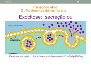 Transporte ativo
2 . Movimentos da membrana
Exocitose: secreção ou
clasmocitose
Exocitose em inglês https://www.youtube.com/watch?v=Oy7yG2Hfbkg
20/11/15 36
 