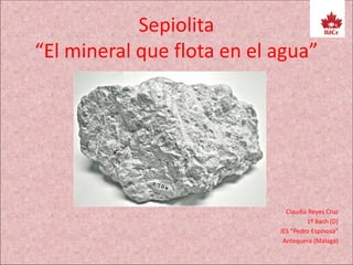 Sepiolita Roca 1 sepiolita 1 d claudia reyes | PDF | Geology | Science