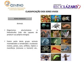 CLASSIFICAÇÃO DOS SERES VIVOS
REINO ANIMALIA
Animais
• Organismos pluricelulares e
heterótrofos (não são capazes de
produzir sua própria energia).
• Fazem parte deste grupo: animais
invertebrados e vertebrados: crustáceos
insetos, peixes, aves, anfíbios, répteis e
mamíferos (inclusive o homem) etc..
 