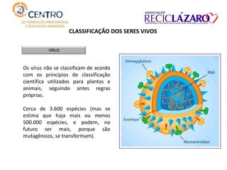 CLASSIFICAÇÃO DOS SERES VIVOS
VÍRUS
Os vírus não se classificam de acordo
com os princípios de classificação
científica utilizados para plantas e
animais, seguindo antes regras
próprias.
Cerca de 3.600 espécies (mas se
estima que haja mais ou menos
500.000 espécies, e podem, no
futuro ser mais, porque são
mutagênicos, se transformam).
 