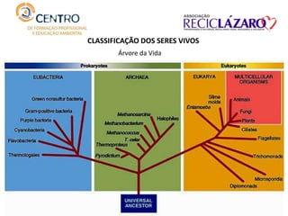 CLASSIFICAÇÃO DOS SERES VIVOS
Árvore da Vida
 