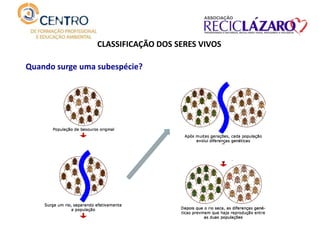 CLASSIFICAÇÃO DOS SERES VIVOS
Quando surge uma subespécie?
 