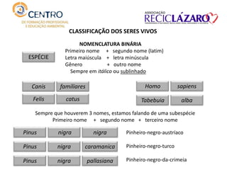 CLASSIFICAÇÃO DOS SERES VIVOS
familiares
NOMENCLATURA BINÁRIA
Primeiro nome + segundo nome (latim)
Letra maiúscula + letra minúscula
Gênero + outro nome
Sempre em itálico ou sublinhado
Canis
ESPÉCIE
catusFelis
sapiensHomo
albaTabebuia
Sempre que houverem 3 nomes, estamos falando de uma subespécie
Primeiro nome + segundo nome + terceiro nome
nigraPinus nigra
nigraPinus caramanica
nigraPinus pallasiana
Pinheiro-negro-austríaco
Pinheiro-negro-turco
Pinheiro-negro-da-crimeia
 