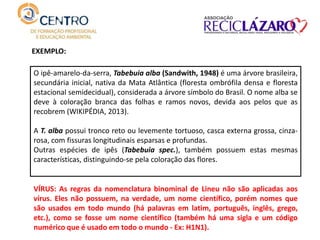 O ipê-amarelo-da-serra, Tabebuia alba (Sandwith, 1948) é uma árvore brasileira,
secundária inicial, nativa da Mata Atlântica (floresta ombrófila densa e floresta
estacional semidecidual), considerada a árvore símbolo do Brasil. O nome alba se
deve à coloração branca das folhas e ramos novos, devida aos pelos que as
recobrem (WIKIPÉDIA, 2013).
A T. alba possui tronco reto ou levemente tortuoso, casca externa grossa, cinza-
rosa, com fissuras longitudinais esparsas e profundas.
Outras espécies de ipês (Tabebuia spec.), também possuem estas mesmas
características, distinguindo-se pela coloração das flores.
EXEMPLO:
VÍRUS: As regras da nomenclatura binominal de Lineu não são aplicadas aos
vírus. Eles não possuem, na verdade, um nome científico, porém nomes que
são usados em todo mundo (há palavras em latim, português, inglês, grego,
etc.), como se fosse um nome científico (também há uma sigla e um código
numérico que é usado em todo o mundo - Ex: H1N1).
 