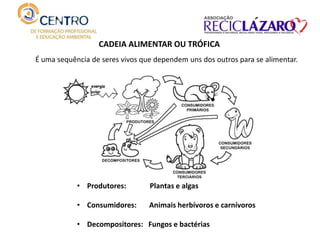 CADEIA ALIMENTAR OU TRÓFICA
É uma sequência de seres vivos que dependem uns dos outros para se alimentar.
• Produtores: Plantas e algas
• Consumidores: Animais herbívoros e carnívoros
• Decompositores: Fungos e bactérias
 