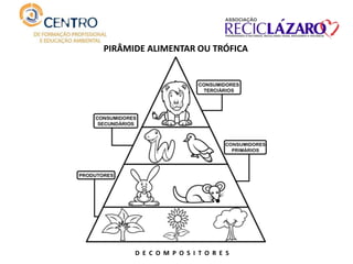 PIRÂMIDE ALIMENTAR OU TRÓFICA
D E C O M P O S I T O R E S
 