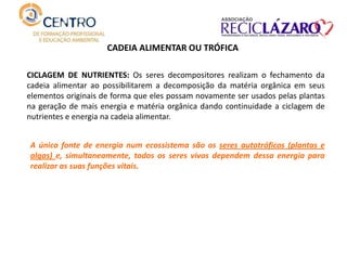 CICLAGEM DE NUTRIENTES: Os seres decompositores realizam o fechamento da
cadeia alimentar ao possibilitarem a decomposição da matéria orgânica em seus
elementos originais de forma que eles possam novamente ser usados pelas plantas
na geração de mais energia e matéria orgânica dando continuidade a ciclagem de
nutrientes e energia na cadeia alimentar.
CADEIA ALIMENTAR OU TRÓFICA
A única fonte de energia num ecossistema são os seres autotróficos (plantas e
algas) e, simultaneamente, todos os seres vivos dependem dessa energia para
realizar as suas funções vitais.
 