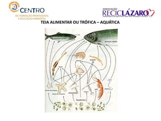 TEIA ALIMENTAR OU TRÓFICA – AQUÁTICA
 