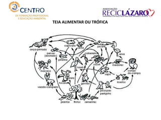 TEIA ALIMENTAR OU TRÓFICA
 