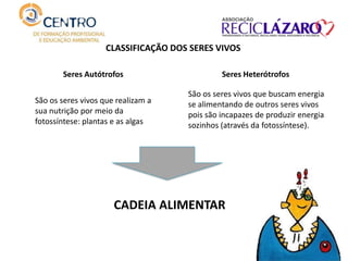 CLASSIFICAÇÃO DOS SERES VIVOS
Seres Autótrofos Seres Heterótrofos
São os seres vivos que realizam a
sua nutrição por meio da
fotossíntese: plantas e as algas
São os seres vivos que buscam energia
se alimentando de outros seres vivos
pois são incapazes de produzir energia
sozinhos (através da fotossíntese).
CADEIA ALIMENTAR
 