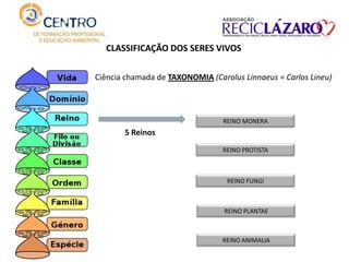 CLASSIFICAÇÃO DOS SERES VIVOS
Ciência chamada de TAXONOMIA (Carolus Linnaeus = Carlos Lineu)
REINO MONERA
REINO PROTISTA
REINO FUNGI
REINO PLANTAE
REINO ANIMALIA
5 Reinos
 