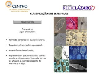 CLASSIFICAÇÃO DOS SERES VIVOS
REINO PROTISTA
Protozoários
Algas unicelulares
• Formado por seres uni ou pluricelulares,
• Eucariontes (com núcleo organizado);
• Autótrofos ou heterótrofos;
• Representados por protozoários, como a
ameba, o tripanossomo (causador do mal
de Chagas), o plasmódio (agente da
malária) e as algas.
 