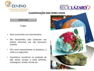 CLASSIFICAÇÃO DOS SERES VIVOS
REINO FUNGI
Fungos
• Seres eucariontes uni e pluricelulares.
• São heterótrofos (não produzem seu
próprio alimento), por não possuírem
clorofila.
• Têm como representantes as leveduras, o
mofo e os cogumelos.
• Importância econômica na produção de
pão, álcool, cerveja; e como alimento:
champignon, shitake, shimeji etc..
 