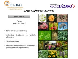 CLASSIFICAÇÃO DOS SERES VIVOS
REINO PLANTAE
Plantas
Algas Pluricelulares
• Seres com célula eucariótica;
• Autotrófos (produzem seu próprio
alimento);
• São pluricelulares;
• Representados por briófitas, pteridófitas,
gimnospermas e angiospermas;
 