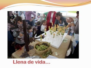 Llena de vida…