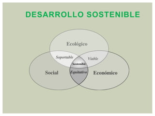 DESARROLLO SOSTENIBLE
 