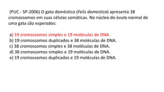 (PUC - SP-2006) O gato doméstico (Felis domestica) apresenta 38
cromossomos em suas células somáticas. No núcleo do óvulo normal de
uma gata são esperados:
a) 19 cromossomos simples e 19 moléculas de DNA.
b) 19 cromossomos duplicados e 38 moléculas de DNA.
c) 38 cromossomos simples e 38 moléculas de DNA.
d) 38 cromossomos simples e 19 moléculas de DNA.
e) 19 cromossomos duplicados e 19 moléculas de DNA.
 