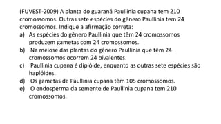 (FUVEST-2009) A planta do guaraná Paullinia cupana tem 210
cromossomos. Outras sete espécies do gênero Paullinia tem 24
cromossomos. Indique a afirmação correta:
a) As espécies do gênero Paullinia que têm 24 cromossomos
produzem gametas com 24 cromossomos.
b) Na meiose das plantas do gênero Paullinia que têm 24
cromossomos ocorrem 24 bivalentes.
c) Paullinia cupana é diplóide, enquanto as outras sete espécies são
haplóides.
d) Os gametas de Paullinia cupana têm 105 cromossomos.
e) O endosperma da semente de Paullinia cupana tem 210
cromossomos.
 