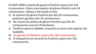 (FUVEST-2009) A planta do guaraná Paullinia cupana tem 210
cromossomos. Outras sete espécies do gênero Paullinia tem 24
cromossomos. Indique a afirmação correta:
a) As espécies do gênero Paullinia que têm 24 cromossomos
produzem gametas com 24 cromossomos.
b) Na meiose das plantas do gênero Paullinia que têm 24
cromossomos ocorrem 24 bivalentes.
c) Paullinia cupana é diplóide, enquanto as outras sete espécies são
haplóides.
d) Os gametas de Paullinia cupana têm 105 cromossomos.
e) O endosperma da semente de Paullinia cupana tem 210
cromossomos.
 