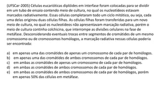 (UFSCar-2005) Células eucarióticas diplóides em interfase foram colocadas para se dividir
em um tubo de ensaio contendo meio de cultura, no qual os nucleotídeos estavam
marcados radiativamente. Essas células completaram todo um ciclo mitótico, ou seja, cada
uma delas originou duas células filhas. As células filhas foram transferidas para um novo
meio de cultura, no qual os nucleotídeos não apresentavam marcação radiativa, porém o
meio de cultura continha colchicina, que interrompe as divisões celulares na fase de
metáfase. Desconsiderando eventuais trocas entre segmentos de cromátides de um mesmo
cromossomo ou de cromossomos homólogos, a marcação radiativa nessas células poderia
ser encontrada:
a) em apenas uma das cromátides de apenas um cromossomo de cada par de homólogos.
b) em apenas uma das cromátides de ambos cromossomos de cada par de homólogos.
c) em ambas as cromátides de apenas um cromossomo de cada par de homólogos.
d) em ambas as cromátides de ambos cromossomos de cada par de homólogos.
e) em ambas as cromátides de ambos cromossomos de cada par de homólogos, porém
em apenas 50% das células em metáfase.
 