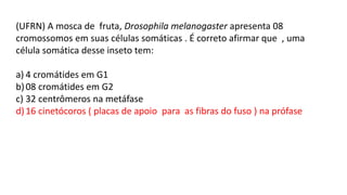 (UFRN) A mosca de fruta, Drosophila melanogaster apresenta 08
cromossomos em suas células somáticas . É correto afirmar que , uma
célula somática desse inseto tem:
a) 4 cromátides em G1
b)08 cromátides em G2
c) 32 centrômeros na metáfase
d)16 cinetócoros ( placas de apoio para as fibras do fuso ) na prófase
 