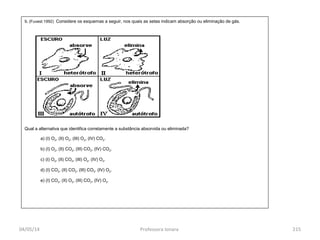 04/05/14 Professora Ionara 215
9. (Fuvest 1992) Considere os esquemas a seguir, nos quais as setas indicam absorção ou eliminação de gás.
Qual a alternativa que identifica corretamente a substância absorvida ou eliminada?
a) (I) O2, (II) O2, (III) O2, (IV) CO2.
b) (I) O2, (II) CO2, (III) CO2, (IV) CO2.
c) (I) O2, (II) CO2, (III) O2, (IV) O2.
d) (I) CO2, (II) CO2, (III) CO2, (IV) O2.
e) (I) CO2, (II) O2, (III) CO2, (IV) O2.
 
