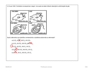 04/05/14 Professora Ionara 216
9. (Fuvest 1992) Considere os esquemas a seguir, nos quais as setas indicam absorção ou eliminação de gás.
Qual a alternativa que identifica corretamente a substância absorvida ou eliminada?
a) (I) O2, (II) O2, (III) O2, (IV) CO2.
b) (I) O2, (II) CO2, (III) CO2, (IV) CO2.
c) (I) O2, (II) CO2, (III) O2, (IV) O2.
d) (I) CO2, (II) CO2, (III) CO2, (IV) O2.
e) (I) CO2, (II) O2, (III) CO2, (IV) O2.
 