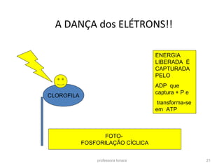 A DANÇA dos ELÉTRONS!!
professora Ionara 21
CLOROFILA
ENERGIA
LIBERADA É
CAPTURADA
PELO
ADP que
captura + P e
transforma-se
em ATP
FOTO-
FOSFORILAÇÃO CÍCLICA
 