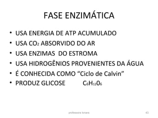 FASE ENZIMÁTICA
• USA ENERGIA DE ATP ACUMULADO
• USA CO2 ABSORVIDO DO AR
• USA ENZIMAS DO ESTROMA
• USA HIDROGÊNIOS PROVENIENTES DA ÁGUA
• É CONHECIDA COMO “Ciclo de Calvin”
• PRODUZ GLICOSE C6H1206
professora Ionara 43
 