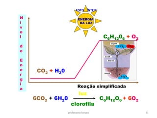 FOTOSSÍNTESEFOTOSSÍNTESE
professora Ionara 6
N
i
v
e
l
d
e
E
n
e
r
g
i
a
CO2 + H20
C6H1206 + O2
Reação simplificada
6CO2 + 6H20 C6H12O6 + 6O2
luz
clorofila
ENERGIA
DA LUZ
 