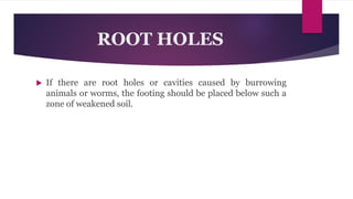 ROOT HOLES
 If there are root holes or cavities caused by burrowing
animals or worms, the footing should be placed below such a
zone of weakened soil.
 