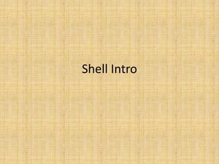 Shell Intro
 