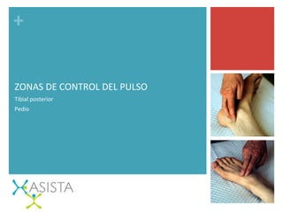+	
  
ZONAS	
  DE	
  CONTROL	
  DEL	
  PULSO	
  
Tibial	
  posterior	
  
Pedio 	
   	
  	
  
 