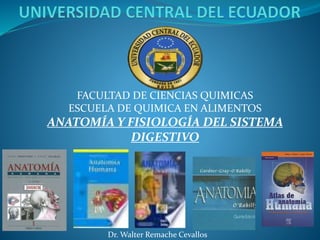 FACULTAD DE CIENCIAS QUIMICAS
ESCUELA DE QUIMICA EN ALIMENTOS
ANATOMÍA Y FISIOLOGÍA DEL SISTEMA
DIGESTIVO
Dr. Walter Remache Cevallos
 