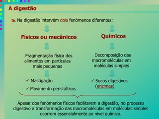 A digestão
 Na digestão intervém dois fenómenos diferentes:
Físicos ou mecânicos Químicos
Fragmentação física dos
alimentos em partículas
mais pequenas
Decomposição das
macromoléculas em
moléculas simples
 Mastigação
 Movimento peristálticos
 Sucos digestivos
(enzimas)
Apesar dos fenómenos físicos facilitarem a digestão, no processo
digestivo a transformação das macromoléculas em moléculas simples
ocorrem essencialmente ao nível químico.
 