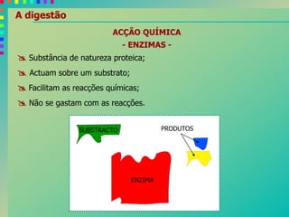 A digestão
ACÇÃO QUÍMICA
- ENZIMAS -
 Substância de natureza proteica;
 Actuam sobre um substrato;
 Facilitam as reacções químicas;
 Não se gastam com as reacções.
ENZIMA
SUBSTRACTO
ENZIMAENZIMAENZIMAENZIMAENZIMAENZIMAENZIMAENZIMAENZIMA
PRODUTOS
 