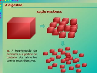 A digestão
ACÇÃO MECÂNICA
 A fragmentação faz
aumentar a superfície de
contacto dos alimentos
com os sucos digestivos.
 
