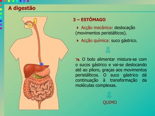 A digestão
3 – ESTÔMAGO
 Acção mecânica: deslocação
(movimentos peristálticos).
 Acção química: suco gástrico.
 O bolo alimentar mistura-se com
o sucos gástrico e vai-se deslocando
até ao piloro, graças aos movimentos
peristálticos. O suco gástrico dá
continuação à transformação da
moléculas complexas.
QUIMO
 