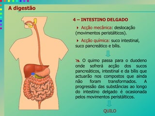 A digestão
4 – INTESTINO DELGADO
 Acção mecânica: deslocação
(movimentos peristálticos).
 Acção química: suco intestinal,
suco pancreático e bílis.
 O quimo passa para o duodeno
onde sofrerá acção dos sucos
pancreáticos, intestinal e da bílis que
actuarão nos compostos que ainda
não foram transformados. A
progressão das substâncias ao longo
do intestino delgado é ocasionada
pelos movimentos peristálticos.
QUILO
 