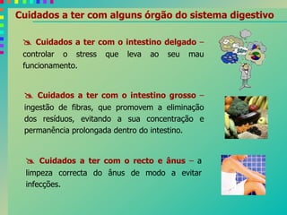 Cuidados a ter com alguns órgão do sistema digestivo
 Cuidados a ter com o recto e ânus – a
limpeza correcta do ânus de modo a evitar
infecções.
 Cuidados a ter com o intestino delgado –
controlar o stress que leva ao seu mau
funcionamento.
 Cuidados a ter com o intestino grosso –
ingestão de fibras, que promovem a eliminação
dos resíduos, evitando a sua concentração e
permanência prolongada dentro do intestino.
 