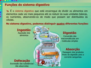 Funções do sistema digestivo
 É o sistema digestivo que está encarregue de dividir os alimentos em
elementos cada vez mais pequenos até os reduzir às suas unidades básicas,
os nutrientes, absorvendo-os de modo que possam ser distribuídos às
células.
No sistema digestivo, podemos distinguir quatro diferentes funções:
Ingestão
Digestão
Defecação
Absorção
Excressão das substâncias
não absorvidas
Conversão das
macromoléculas em
moléculas simples
Passagem dos produtos
finais da digestão para a
corrente sanguínea.
Aquisição dos
alimentos
 
