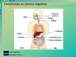Constituição do sistema digestivo
Boca
Glândulas
salivares
Esófago
Faringe
Estômago
Intestino grosso
Intestino delgado
Fígado
Pâncreas
Recto Ânus
Tubo Digestivo
Glândulas Anexas
1
2
3
4
5
6
7 8
1
2
3
 