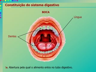 Língua
Dentes
BOCA
 Abertura pela qual o alimento entra no tubo digestivo.
Constituição do sistema digestivo
 